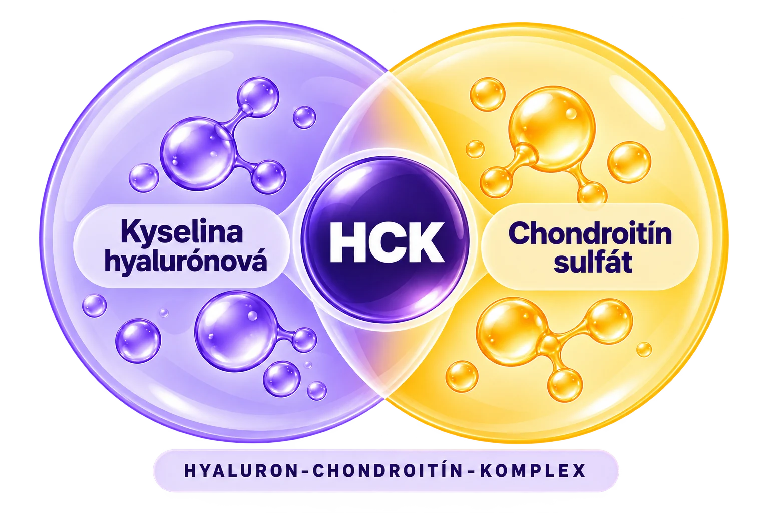 Hyaluron-Chondroitín-Komplex (HCK): spojenie kyseliny hyalurónovej a chondroitín sulfátu