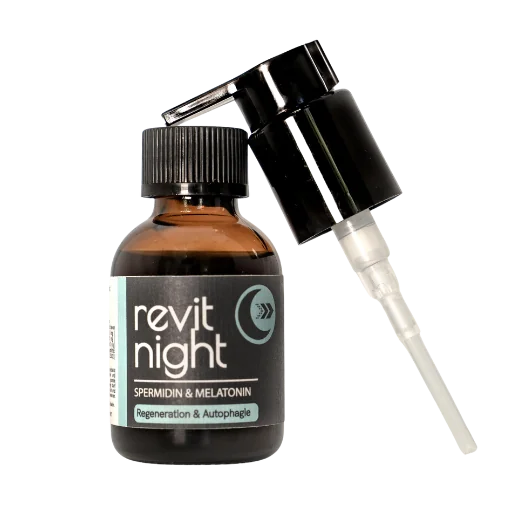 Revit Night